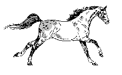 $2500