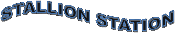 STALLION STATION