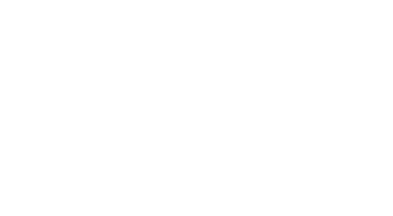 Text Box:                               Shez Kinda Shinnie                                                                        2003 Black & White                                                                 POA  Mare                                  6 PANEL N/N                          